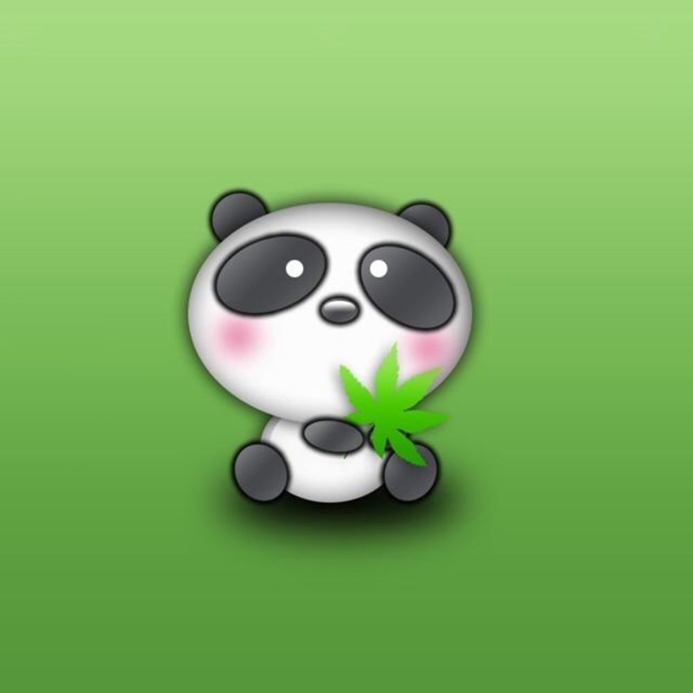 Meet your Posher, Kailin